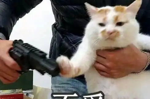  生活爆笑段子报告教官,风把石子给吹掉了