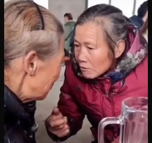  免费领了10个鸡蛋,却付出了惨痛代价,许多老人已经上当受骗
