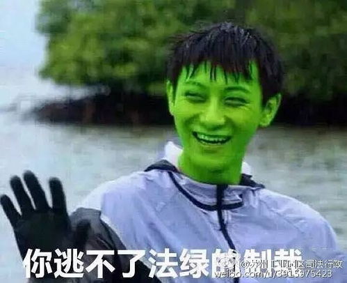 表情包战争免费玩一玩蜡