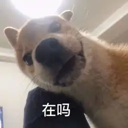  表情包只要我够强壮,渣男就伤害不到我