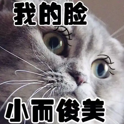  狗比狗,气死主人