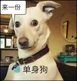  离开空调就熔化的日子,古代大侠怎么避暑