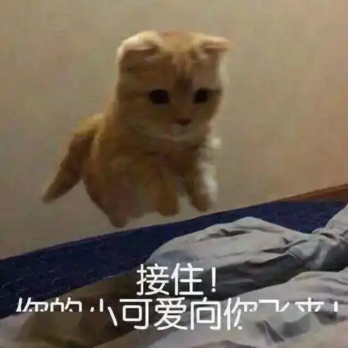  每日沙雕表情包