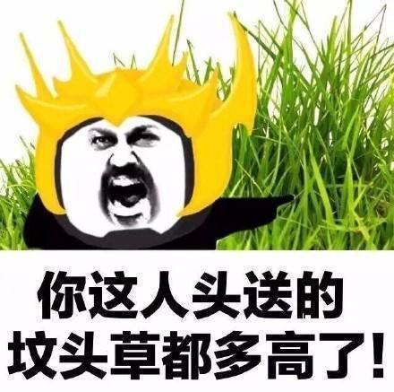 最近很火的表情包熊猫正