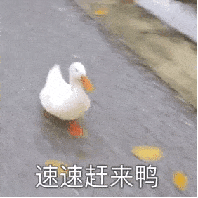  搞笑表情包丨慌得一p