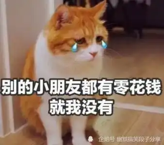 每日一笑今天和老婆吵架,我又输了,主要是输在了气势上  每日一笑今天和老婆吵架,我又输了,主要是输在了气势上