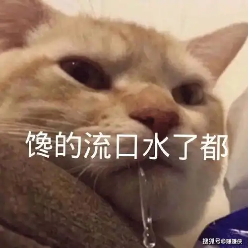  可爱表情包图片好了,你要再说了