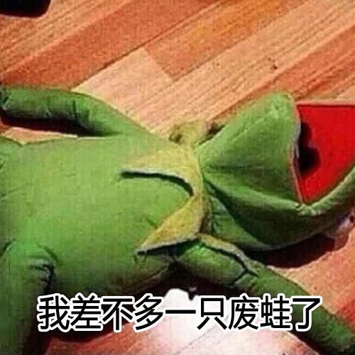  神啊告诉我多肉与不可兼得的吗