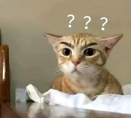 大眼猫表情包搞笑