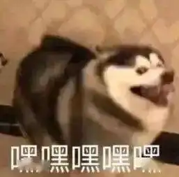 刚刚官宣武大赏樱明起预约武汉还有100万张景点门票免费送 刚刚官宣武大赏樱明起预约武汉还有100万张景点门票免费送