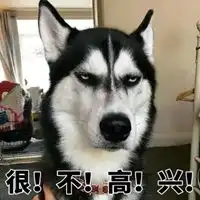  微信狗头表情包
