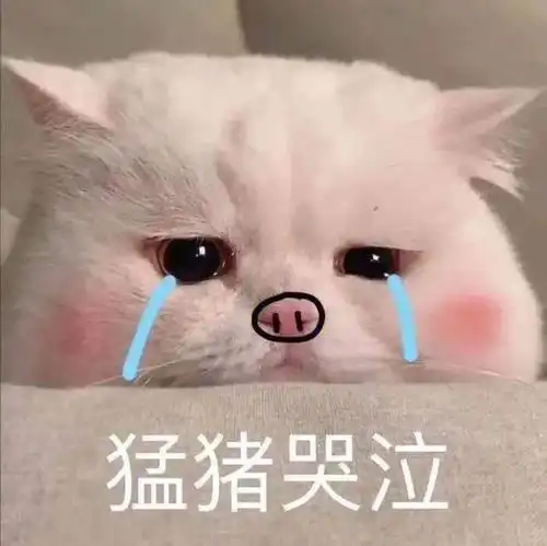  e句话你的过年三件套安排了吗