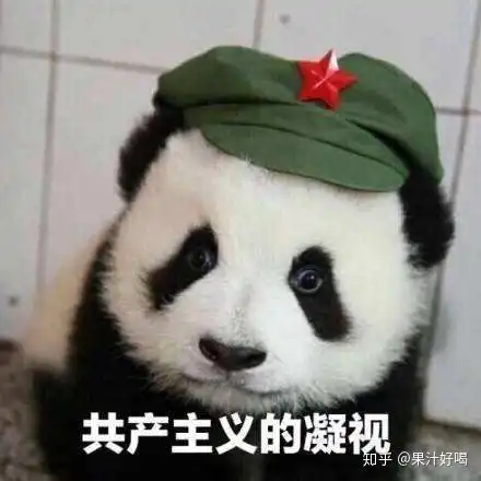  家里老人哭着让我回去过年,我该怎么处理