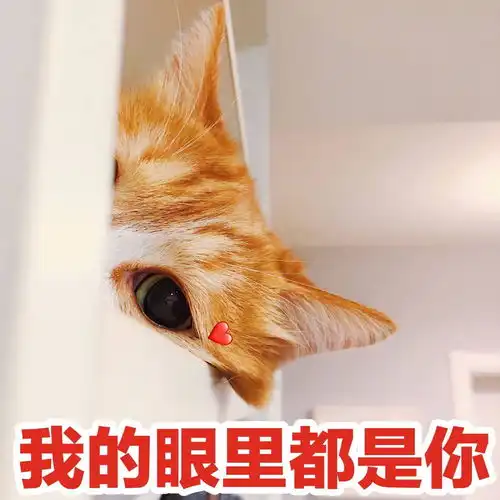  有没有跟这个图一样的小狗表情包