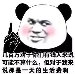  熊猫头炫富表情包一名贫困群员路过