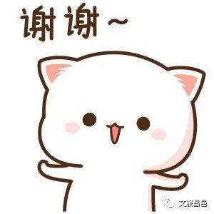  摄展厕所傻傻分不清楚这个地方的厕所有点意思