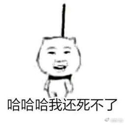  作死表情包gif