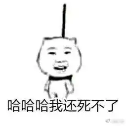  作死表情包gif