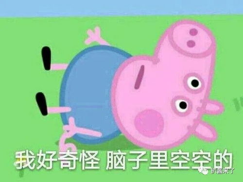  白玉兰飞天金鹰提前知道刘心悠的瓜张杰是没有音综邀请秦岚有削过脸吗经常见明星会不会产生自卑感