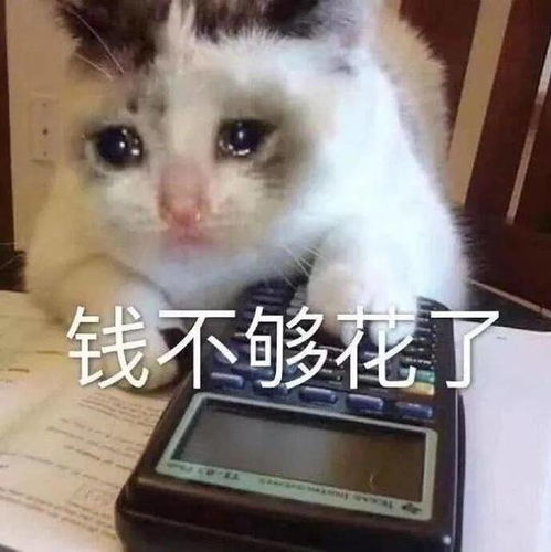  可爱系列表情包我不想上班,我不去