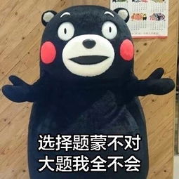  我老公呢老公,我没钱花了蘑菇头表情头牌动图蘑菇头老公表情