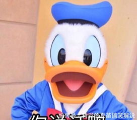  打招呼表情包早上好鸭你在干嘛鸭哈喽鸭今天吃什么鸭