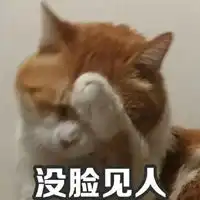  没脸见人了表情包