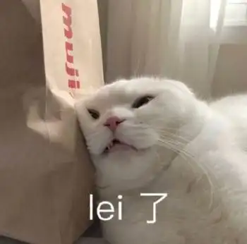  猫咪表情包牵老婆手手