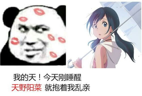  我的天今天刚睡醒天野阳菜就抱着我乱亲熊猫头表情包