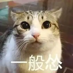  欢笑集锦提起我考驾照的经历,就有点难为情