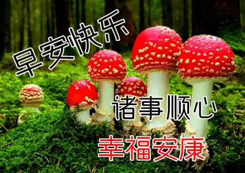  最漂亮早上好动态表情图片大全,早晨好动图美图大全