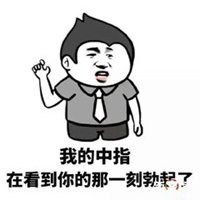 骂人图片图集表情包
