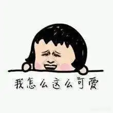 学科表情包教师资格考试