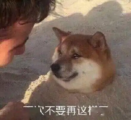 以前我不懂男孩子,直到我生了个儿子哈哈哈哈哈 以前我不懂男孩子,直到我生了个儿子哈哈哈哈哈