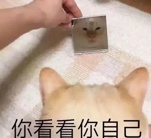  朋友圈发表情包,这些足够装逼到跨年