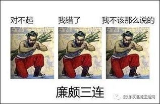  一大波最新表情包来袭,古人棺材板我帮你们住了