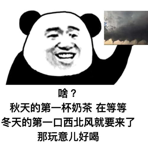  来人,给我姐妹上酒