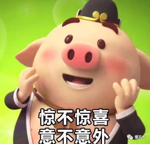  常熟医保个人账户家庭共济新政出台