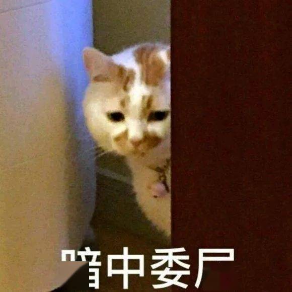  天津相声广播简直壕无仁性