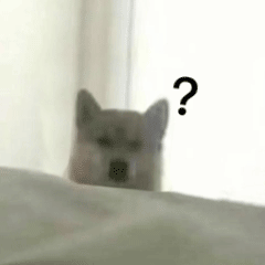 表情包问号表情包 表情包问号表情包