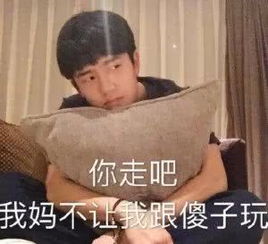 定春表情包刘昊然