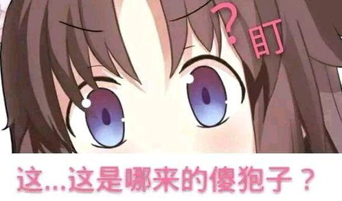  fgo沙雕图空之境界活动复刻啦今天是两仪式表情包专场