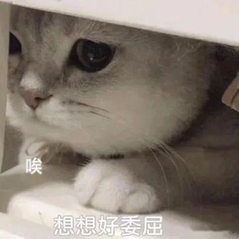  表情包你是什么东西,我要对你温柔