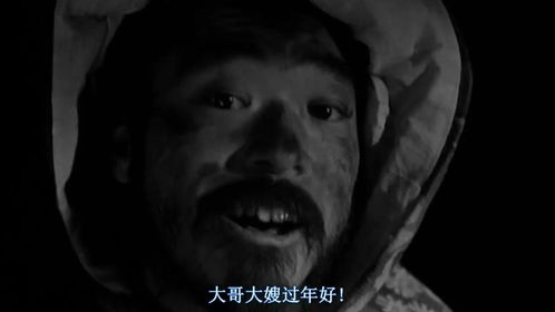 大哥大嫂过年好表情包