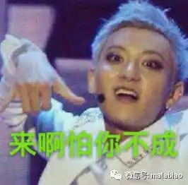  这就是街舞,不就是四位队长教你做人