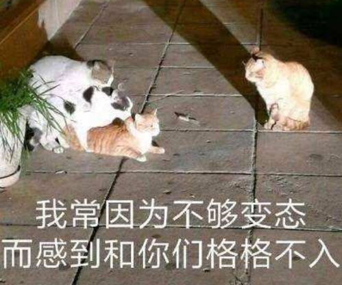  离谱已婚渣女打游戏养鱼,反被小鲜肉拿捏,背着丈夫当小四