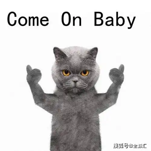 妹妹表情包卡点画猫