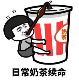  十周年大福利,这么可爱的萌宠不想带走么