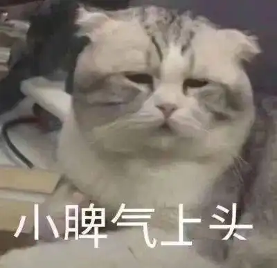  毁了杨紫赵丽颖求这位造型师放过美女