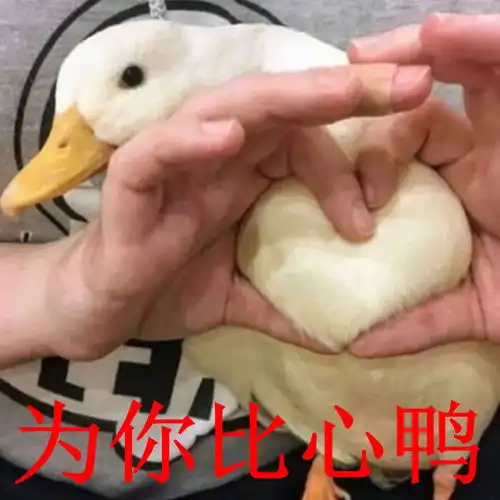 比心点赞表情包鸭子